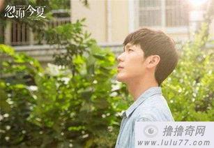 忽而今夏背景时间,青春岁月里的爱情与梦想